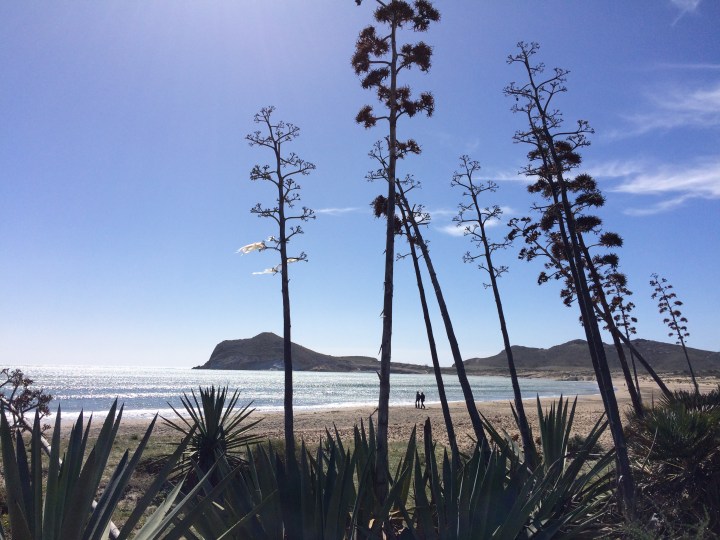 0F34A9B7-9868-48ED-AD6D-044ADD7D9FDD