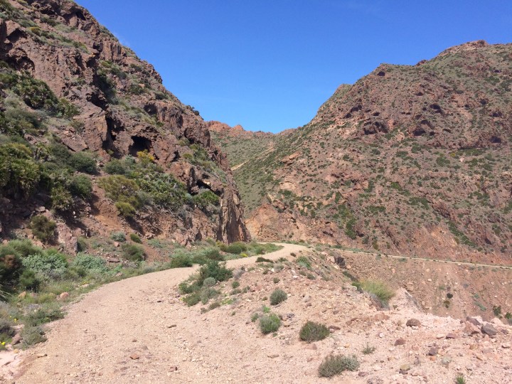 A457B1AF-3B89-4D78-8322-08119DAE9340