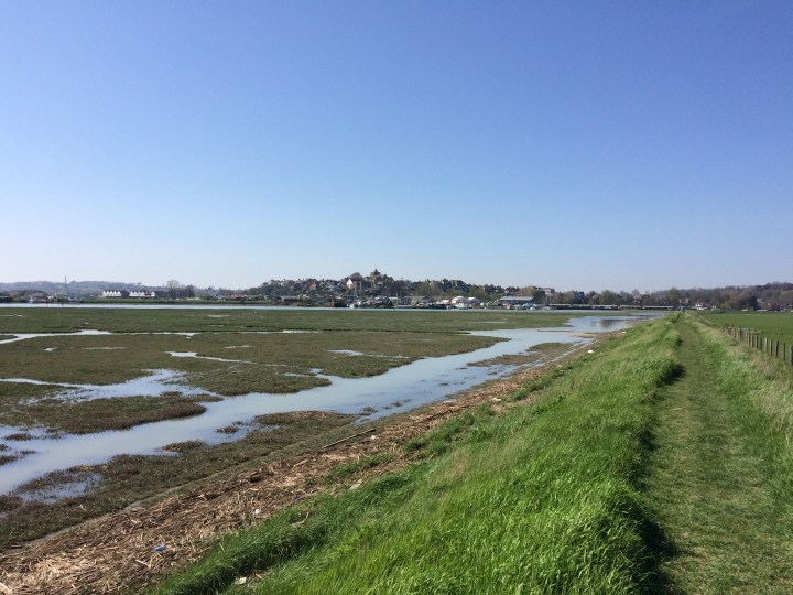 3F440447-27DD-4EE6-BE39-D9049161281A