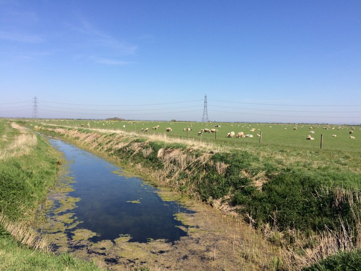 A536EC56-634E-411B-A0E0-AC6993887657