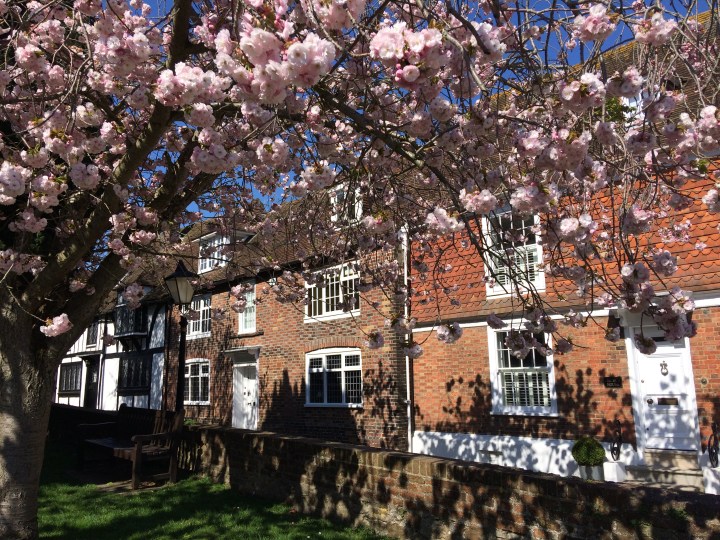 AF90571E-7AE0-4319-9B8A-19F4CCE8FDDC