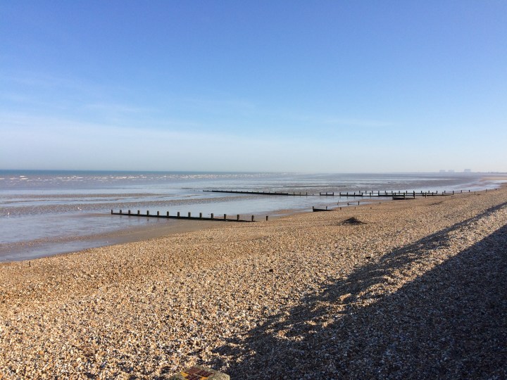 DB1666BB-682A-45E4-BEEA-B1BA4721F88A