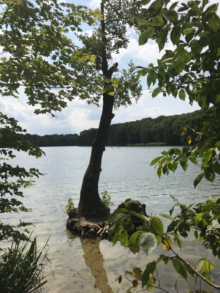 6760DCD3-2AF1-4F41-BCC7-4317470ED534